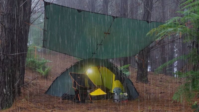 Camping In The Wild