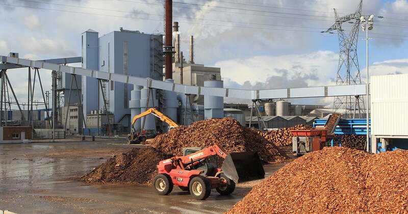 Biomass Power