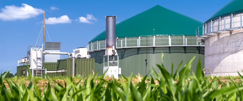 Biomass Power