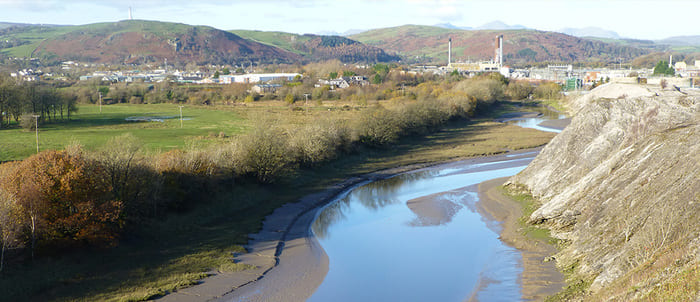 Ecological Impact