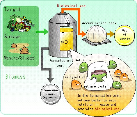 Fermentation
