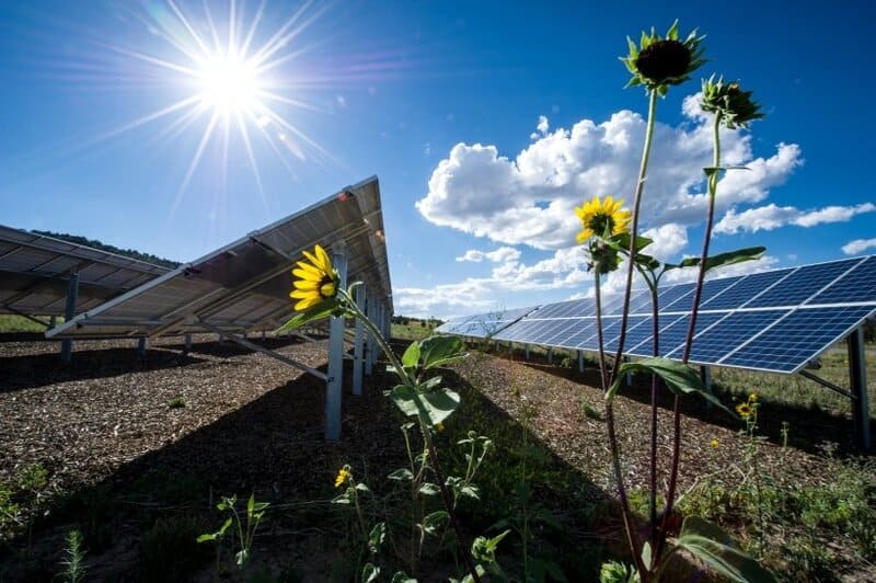 Sustainable Power Source