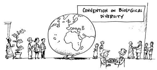 Convention On Biological Diversity (CBD)