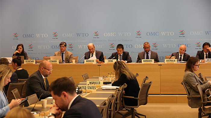 World Trade Organization (WTO) And Environmental Policies